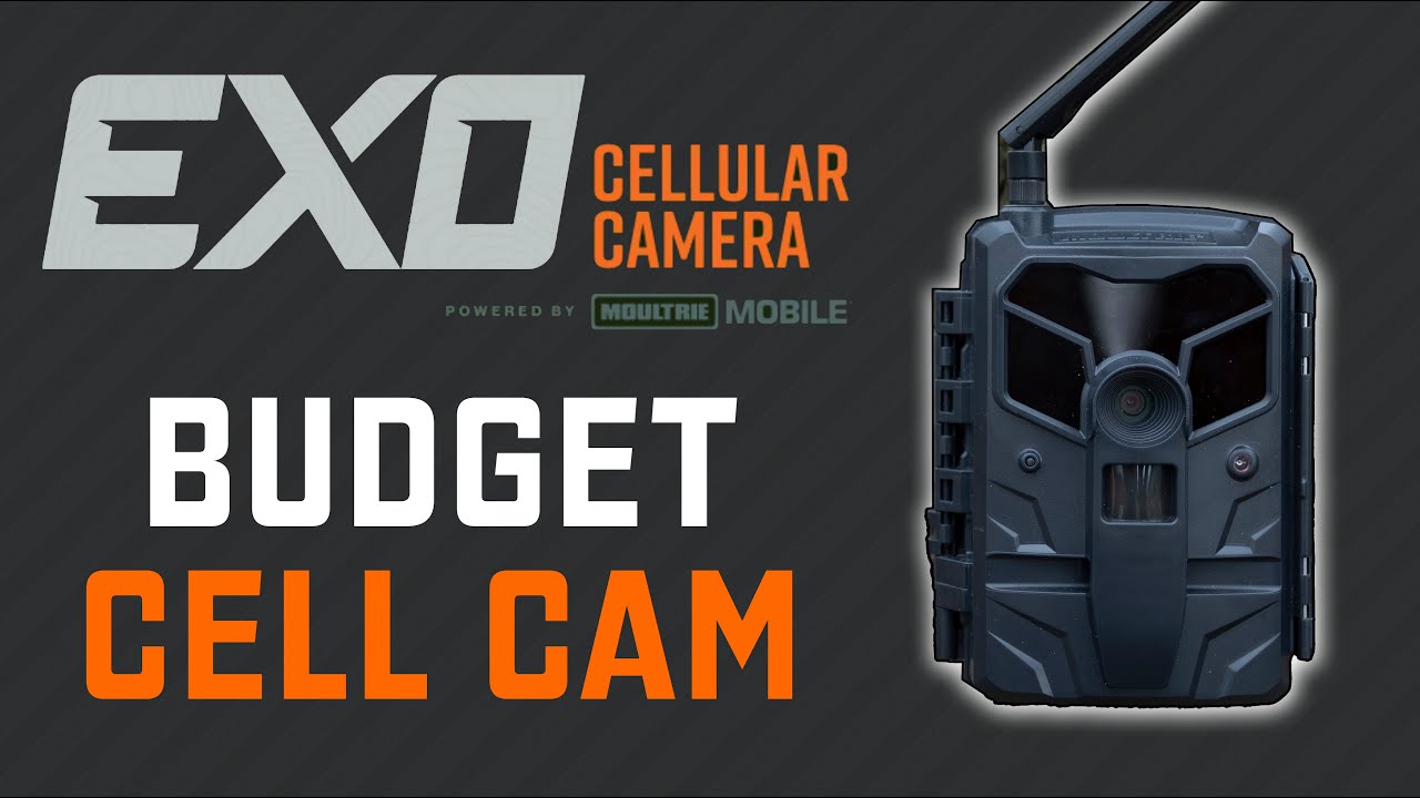 $62 Budget Cell Cam - Moultrie Exo Cell Cam Review