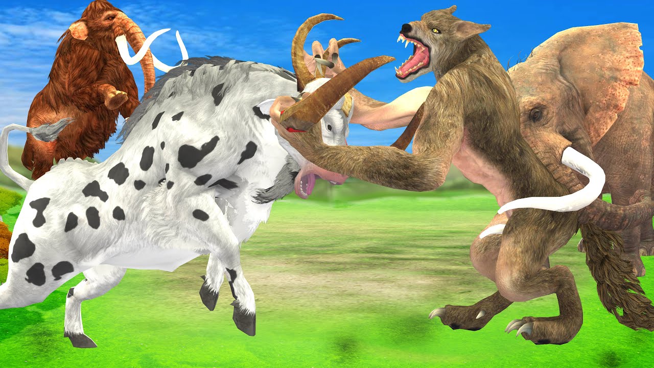 Giant Tiger wolf Attacks Cow Cartoon Saved By Giant Buffalo, Woolly Mammoth Elephant