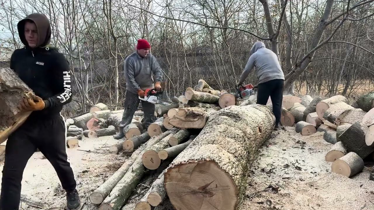 Extreme Woodcutting Test – 361 vs 462 C-M