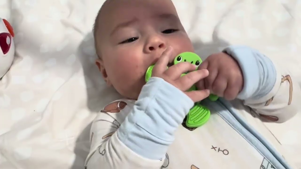 Watch Before Buying - Nuby Teethe N' Pop Sensory Play Teether - Baby Teething Toy - 3+ Months