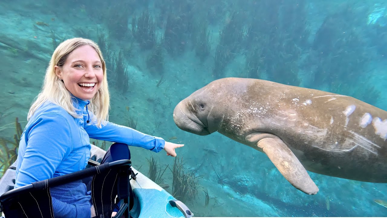 UNBELIEVABLE Camping Experience - Snorkeling with Manatees in Crystal River (incredible encounters)