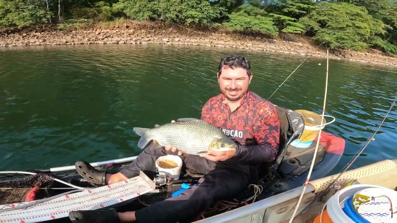 Pescaria de CURIMBA E PIAUÇU GIGANTES NO RIO GRANDE ESTOU ATE AGORA SEM ACREDITAR..