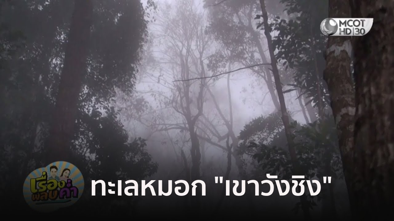 ชมทะเลหมอก 