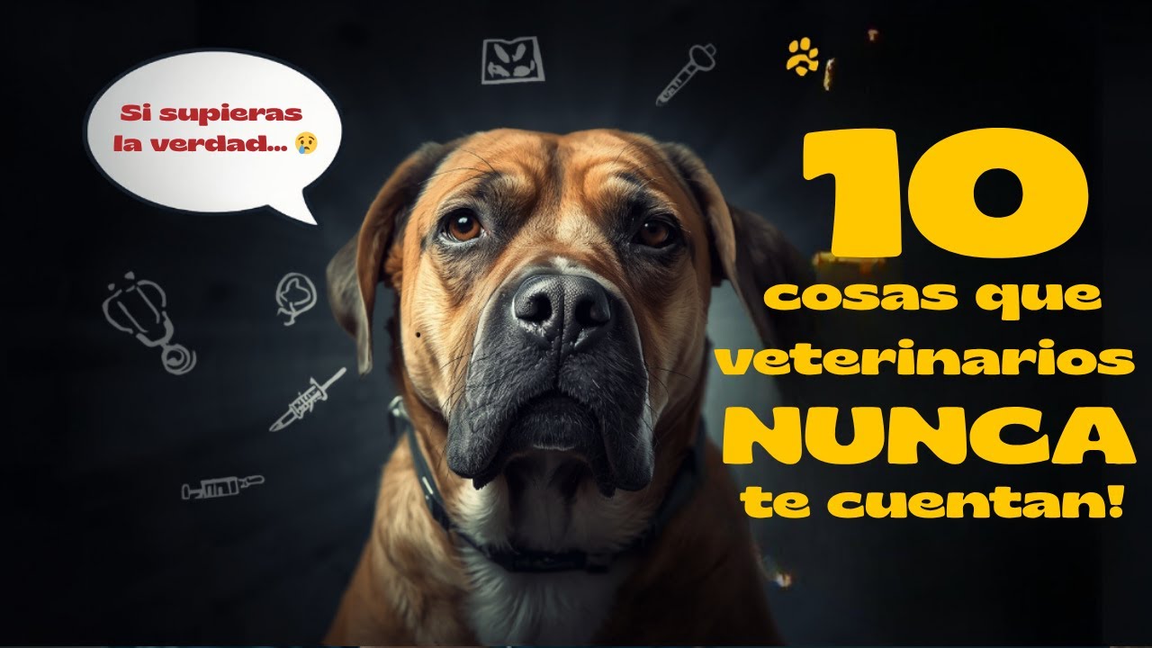 10 Cosas Que Los Veterinarios NUNCA Te Cuentan Sobre Tu Perro!