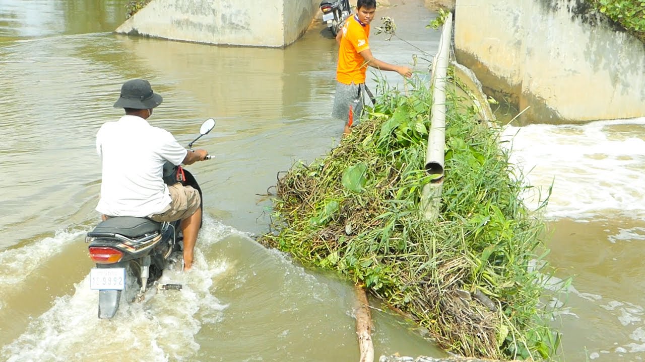 Massive Clogged! Removal Plants Clogged On Dam Drain Water