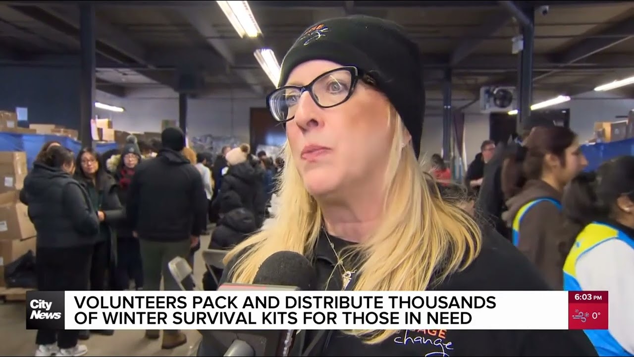 Project Winter Survival 2026 CityNews #1