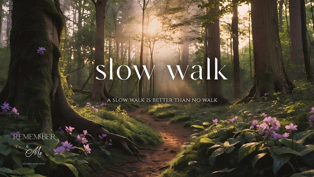 A Slow Walk is Better Than No Walk 🌲🍃 Soft Piano for Overthinking