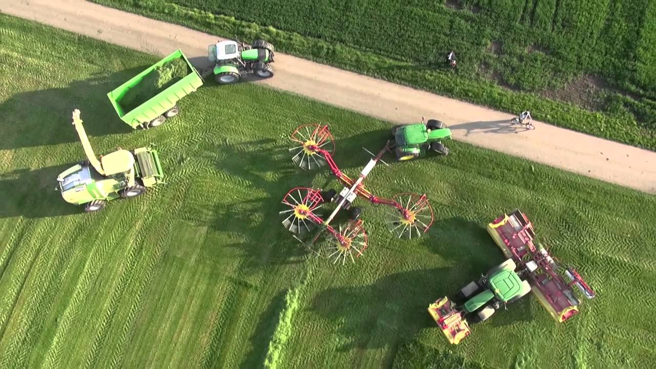 Gras silieren