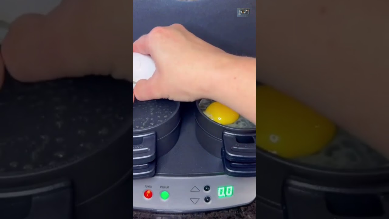 Tasty sausage egg muffin maker & Treat container box
