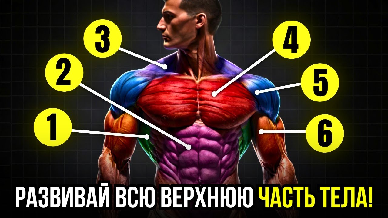 6 УПРАЖНЕНИЙ ДЛЯ ЭКСТРЕМАЛЬНО ЭСТЕТИЧНОГО ВЕРХНЕГО ТЕЛА: ВЗОРВУТ РУКИ, ГРУДЬ, СПИНУ И ПЛЕЧИ