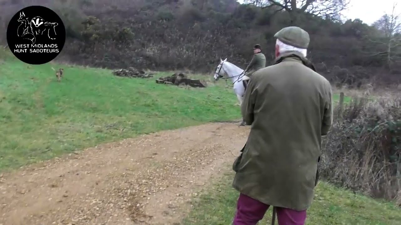 Sabs help fox to safety at Brailes  Hill