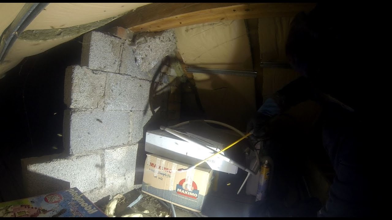 Énorme nid de guêpe sous une toiture à Andelnans 🐝