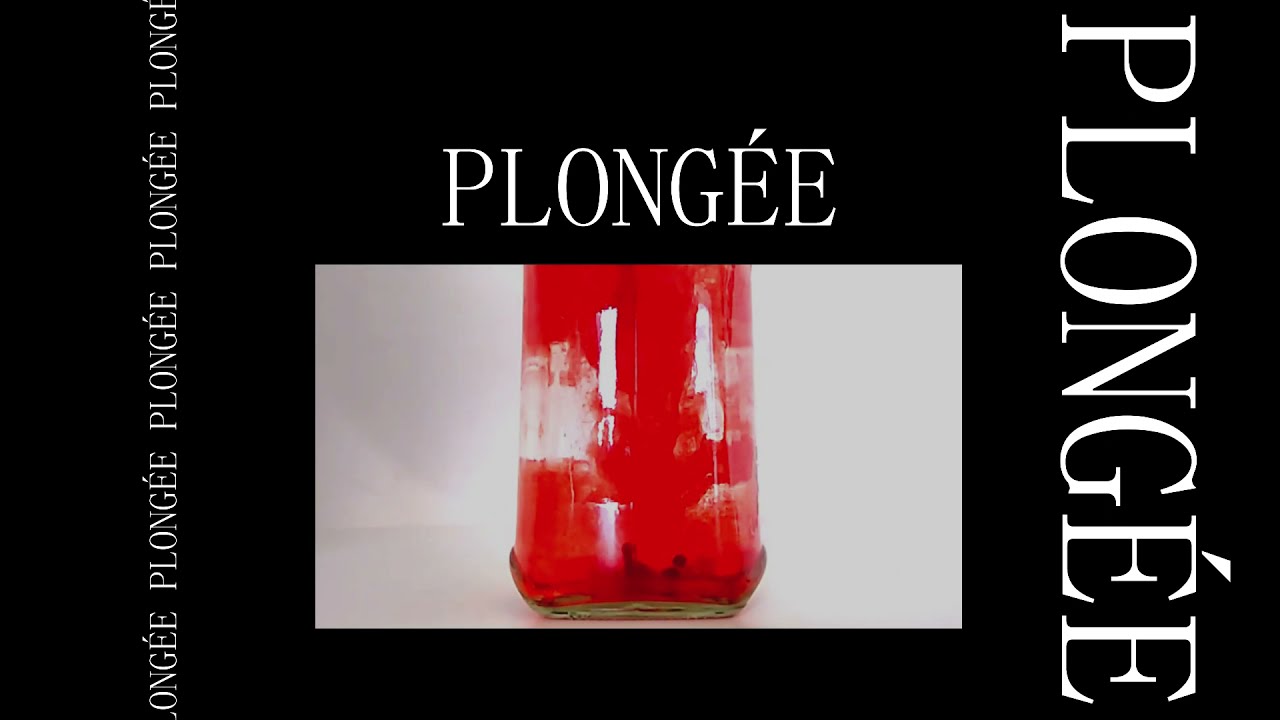 plong&eacute;e - a short film