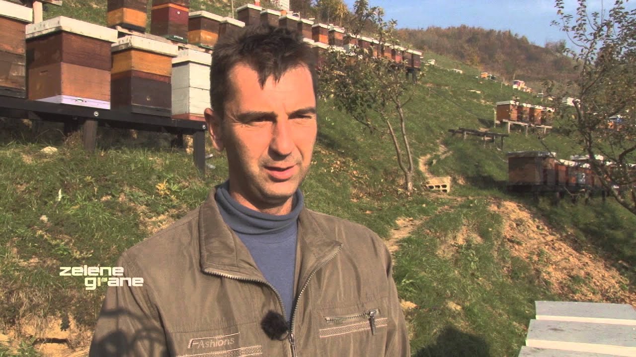 U BiH nastaje najbolji med na svijetu