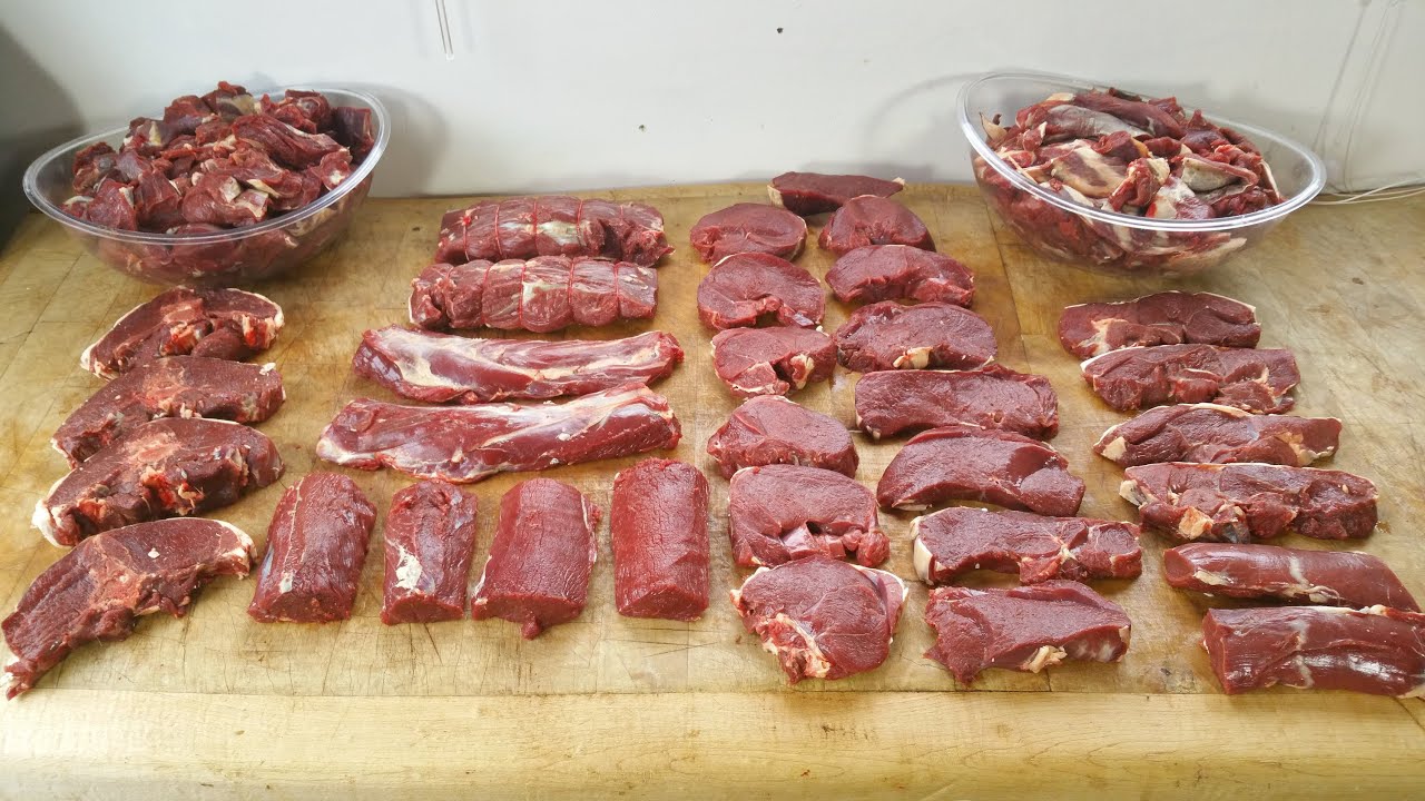 How To Butcher A Deer. A Roe Deer. TheScottReaProject.