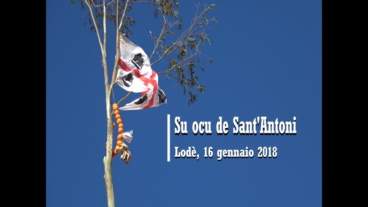 Fuoco di Sant'Antonio a Lodè - Nuoro. 16-01-2018
