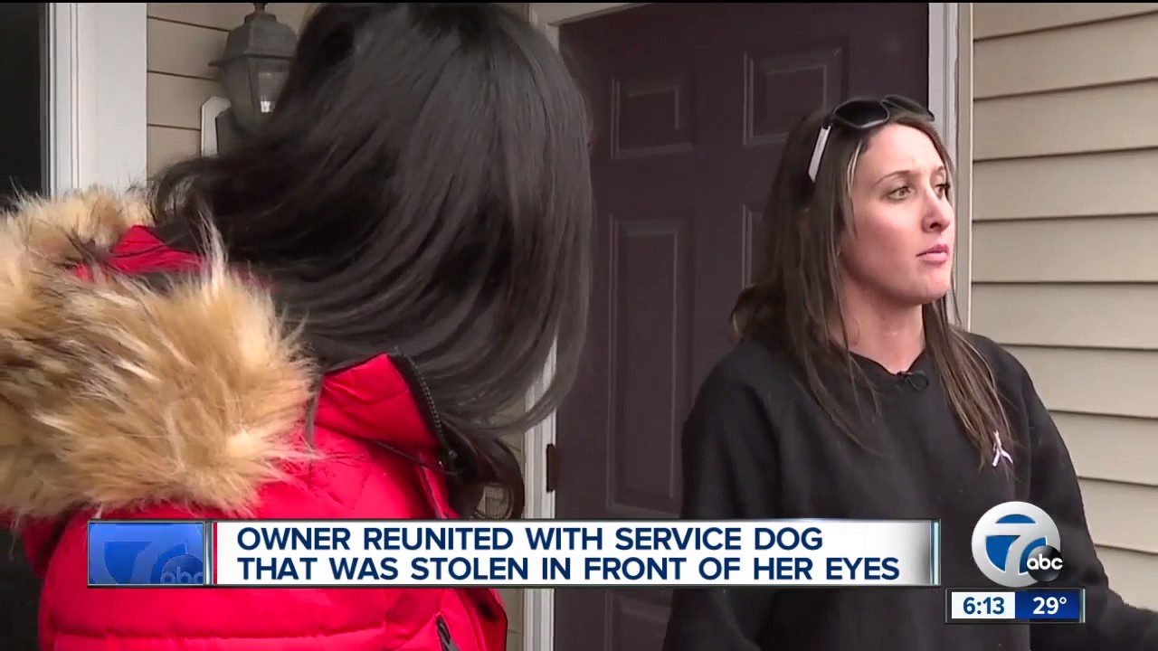 Owner reunited with service dog that was stolen in front of her eyes