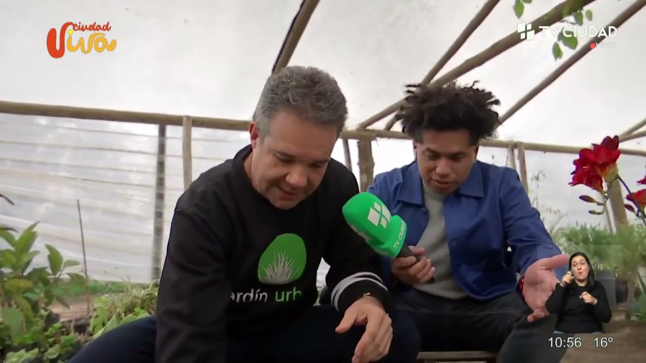 Jard&iacute;n Urbano - Pablo Machado en TV Ciudad - Vivero Parati - Trasplanta de Flor de az&uacute;car