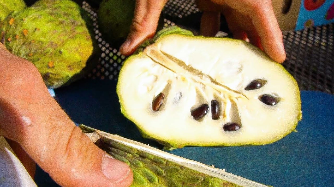 Cherimoya Won't Grow in Florida, but this Annona WILL!