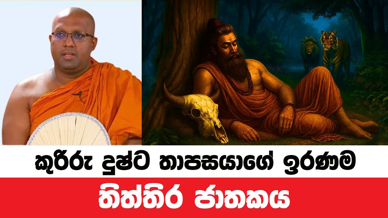 තිත්තිර ජාතකය | කළගුණ නොදත් අසත්පුරුෂ තාපසයාගේ ඉරණම | Kelaniye Sasanawansa Thero | Dharmadeshana 152