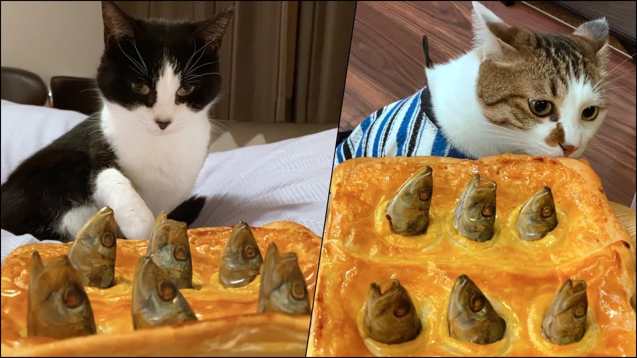 ジブリ飯｜猫たちと魔女の宅急便のパイのモデル「スターゲイジーパイ」を作ってみた【10月のウマウマデー】