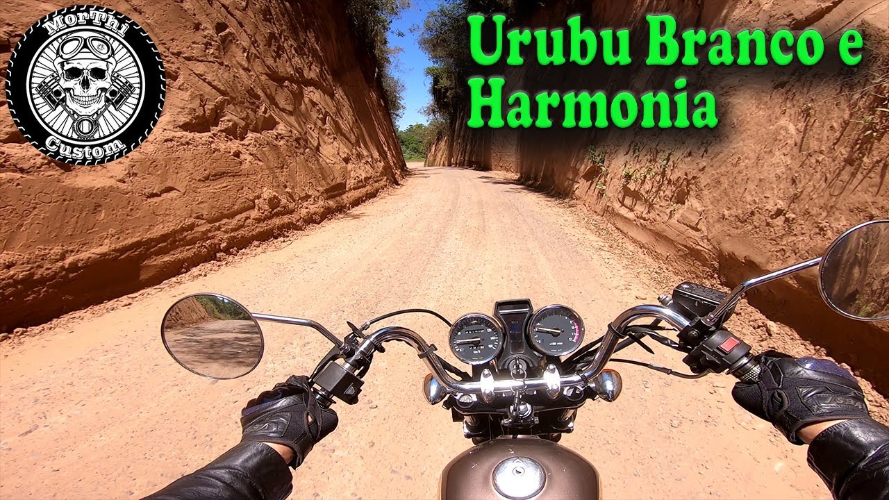 Urubu Branco e Harmonia com a Intruder 250