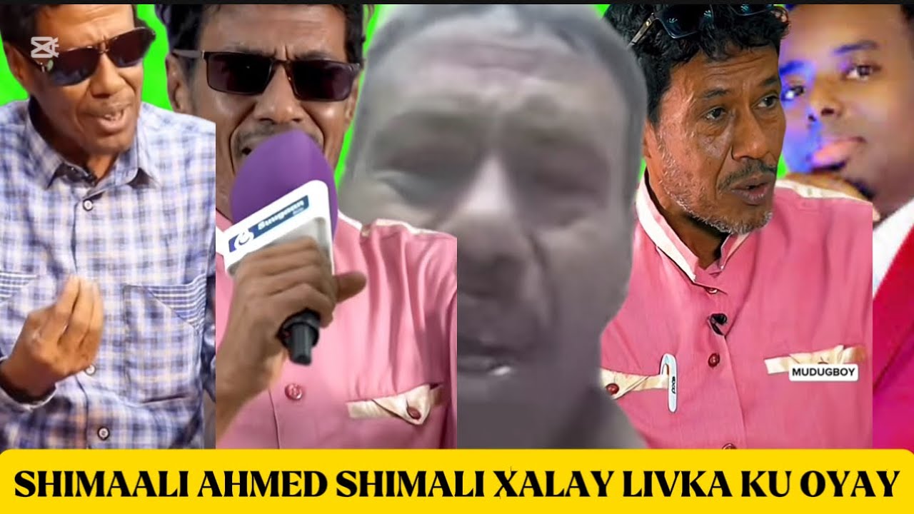 KIIS XANUUN BADAN FANANKA WEYN EE SHIMAALI AHMED SHIMAALI OO XANUN DARTIIS LA OYEY LIVKA DHEXDISA MA