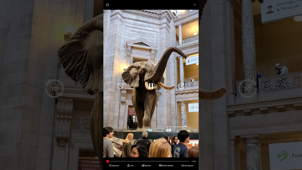 Two Day Trip to Washington #travel #shortsfeed #washington