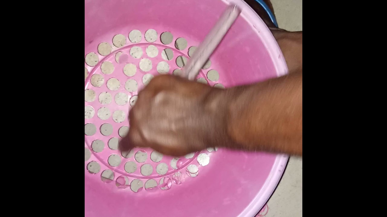 Catfish fingerlings sorting Part 1