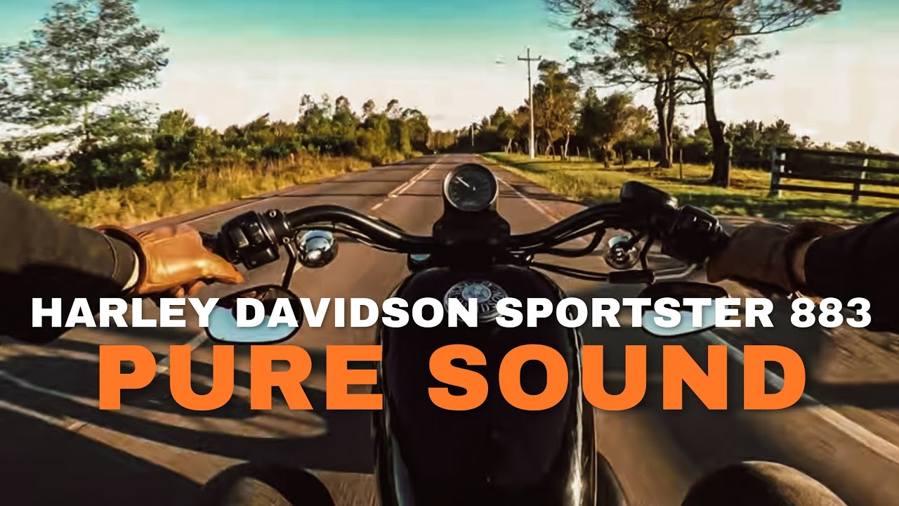 HARLEY DAVIDSON 883 R 2012 | Pure Sound