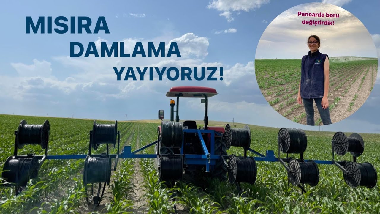 MISIRA DAMLAMA YAYIYORUZ! PANCARDA BORU DEĞİŞTİRDİK!ÇOK YORUCU Bİ GÜN 😥