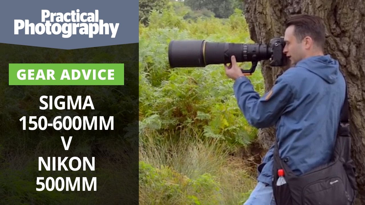 Советы по фотосъемке: Sigma 150-600 мм против Nikon 500 мм
