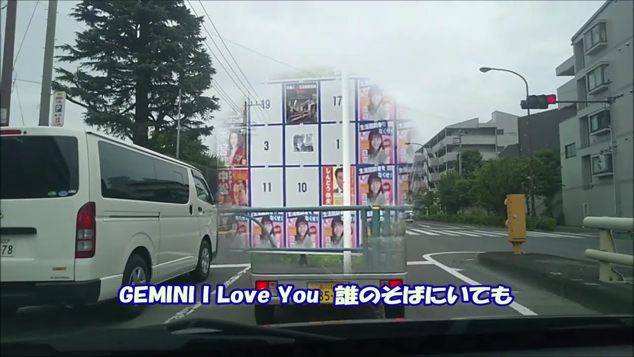 GEMINI　中原めいこ　歌ってみた
