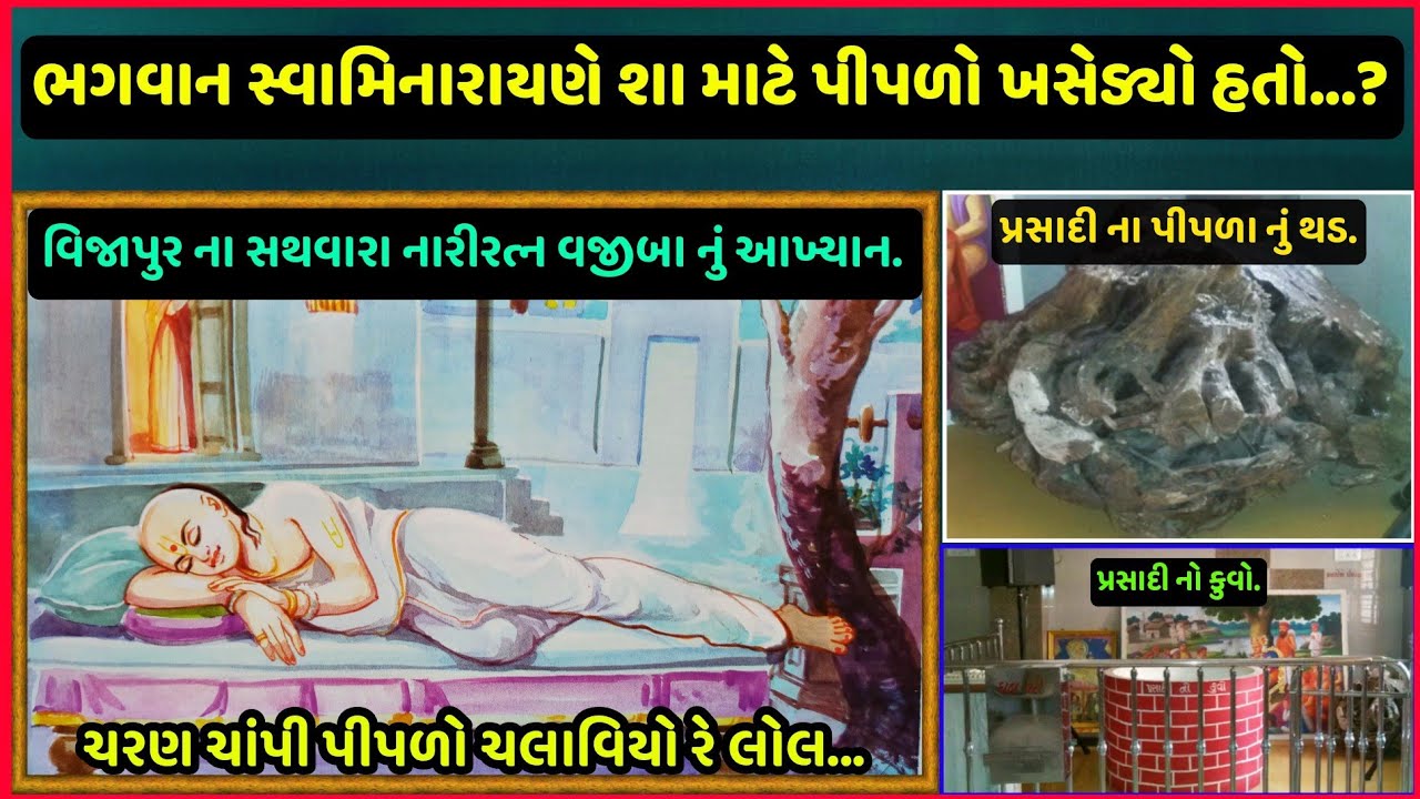 ચરણ ચાંપી પીપળો ચલાવિયો રે લોલ || વિજાપુર ના વજીબા નું આખ્યાન || Swaminarayan NariRatna
