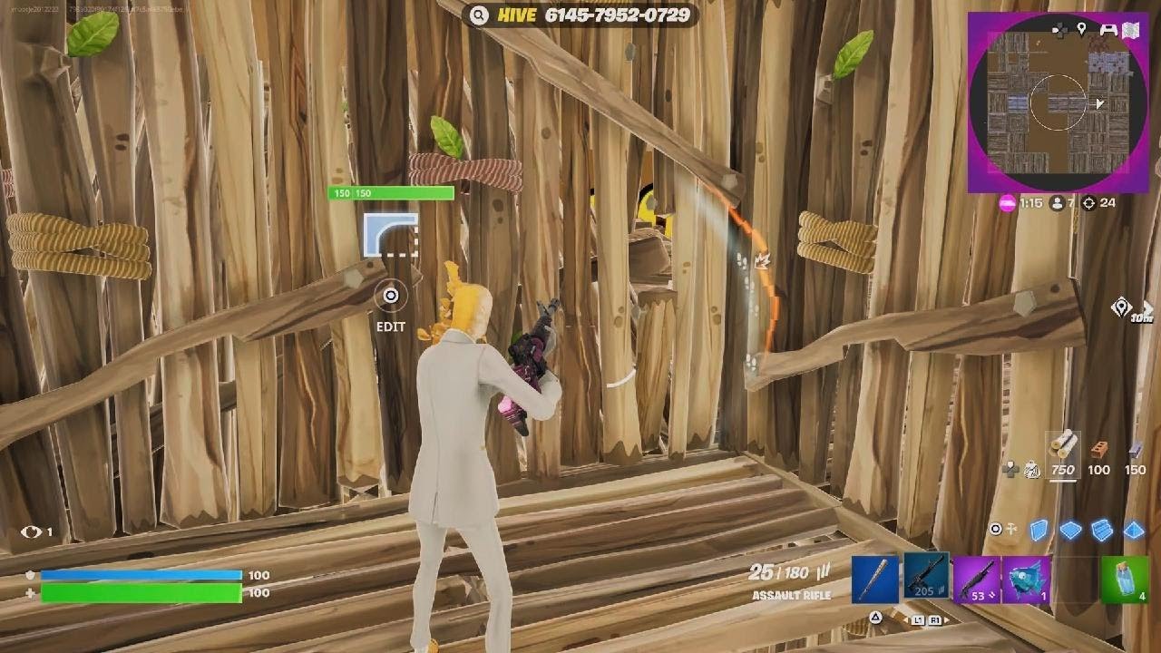 Fight 1v1