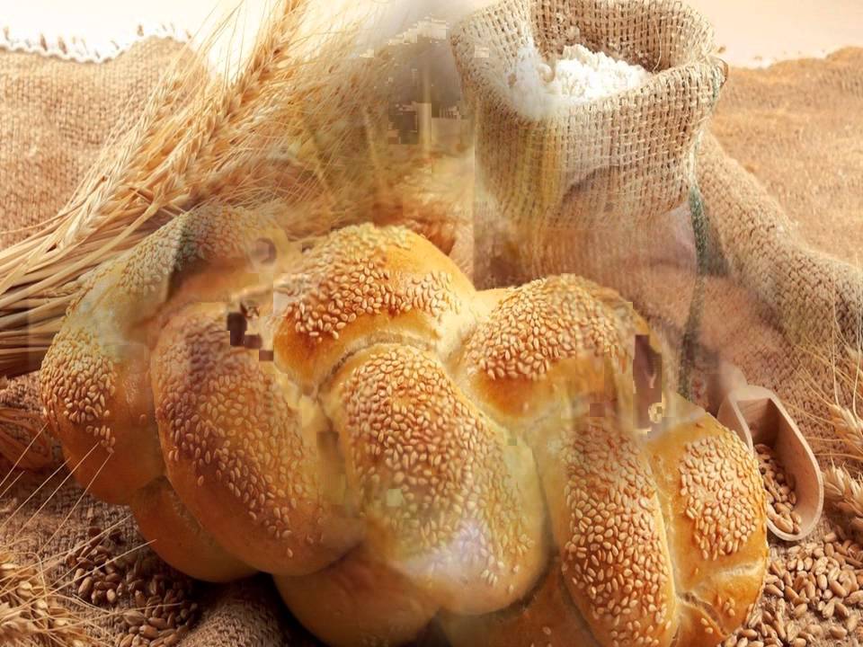 Poema Divino
