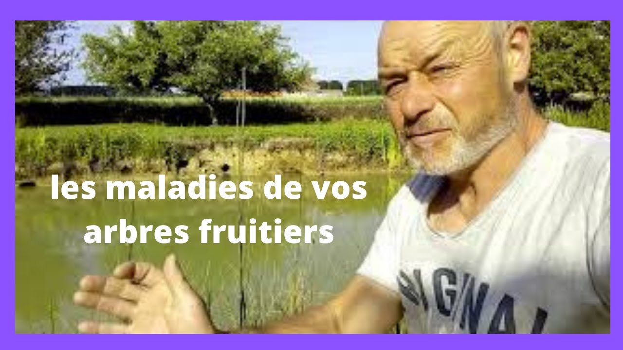 Maladie des arbres fruitiers la moniliose