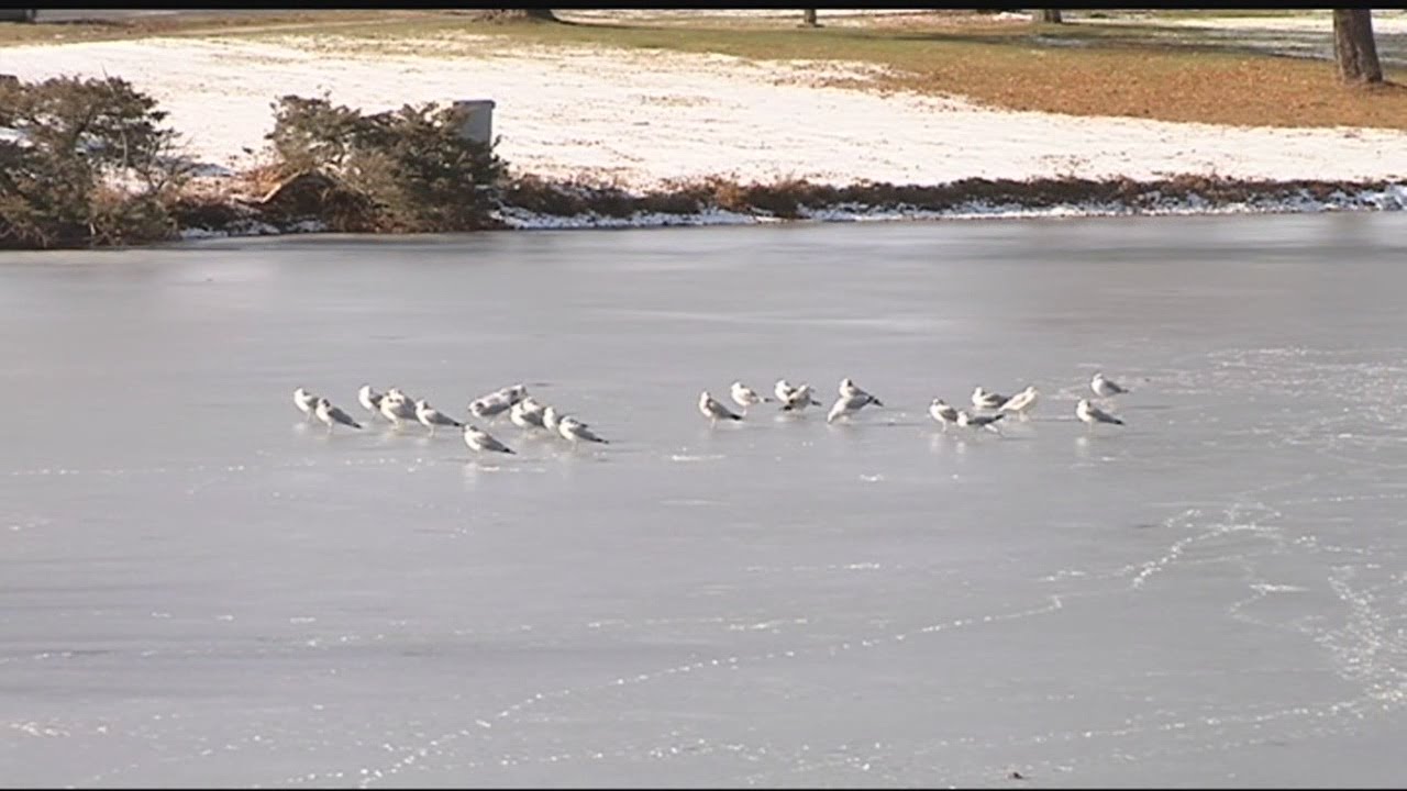 Know when its safe to go out on the ice