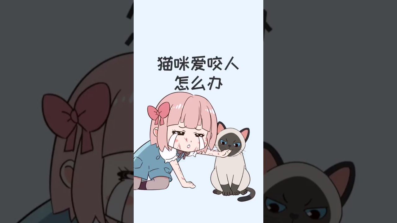 猫咪爱咬人怎么办，教你几招，不行你咬我吧！［猫咪知识］有猫真好