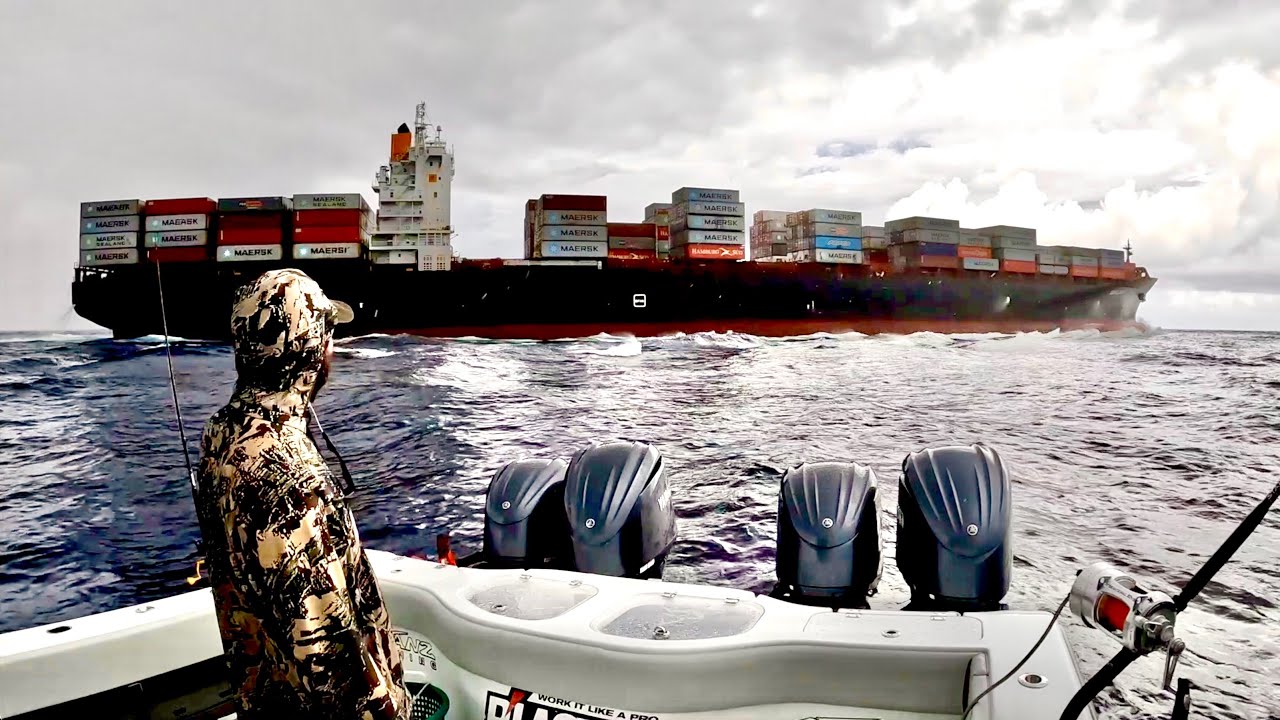 Giant SHIP almost ran us over while Swordfishing! Catch Clean Cook