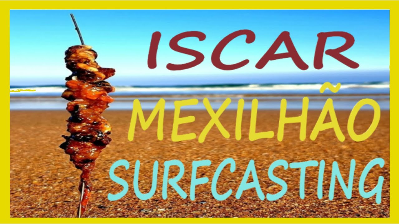 ISCADA DE MEXILHÃO NO SURFCASTING- PESCA EM SINTRA-PORTUGAL