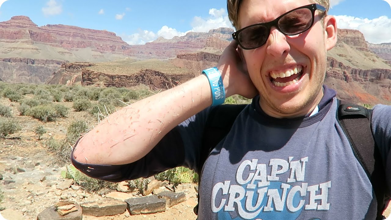 I FELL INTO A CACTUS | Evan Edinger Travel