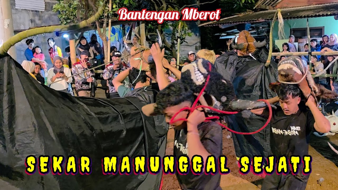 Ng3rii,Kalapan Nyaris Sruduk Pasuk4n Sorak-Bantengan SEKAR MANUNGGAL SEJATI Live Jl Melati Sekarpuro