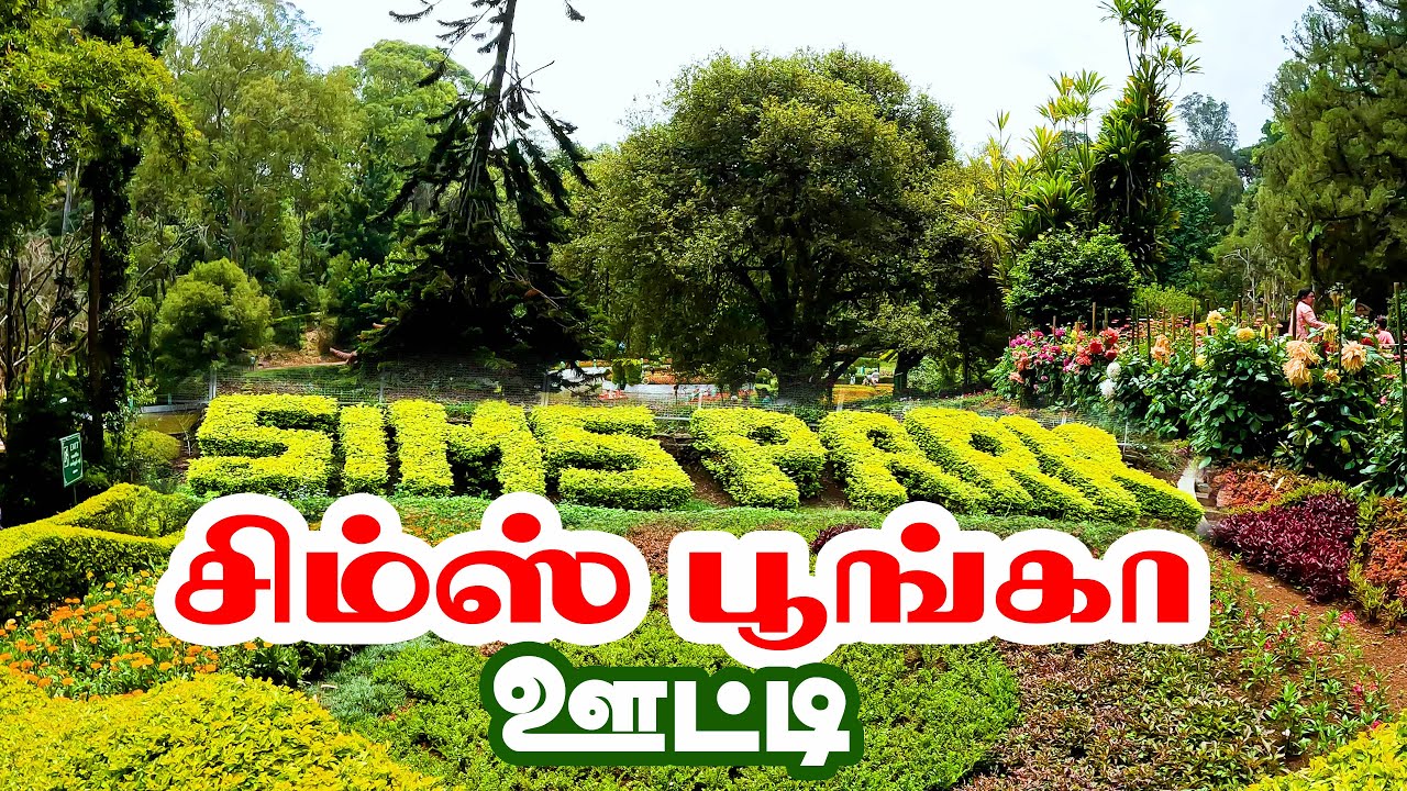 ஊட்டி சுற்றுலா - குன்னூர் சிம்ஸ் பூங்கா | SIMS PARK Coonoor Ooty | Nilgiris District | gptamil vlogz