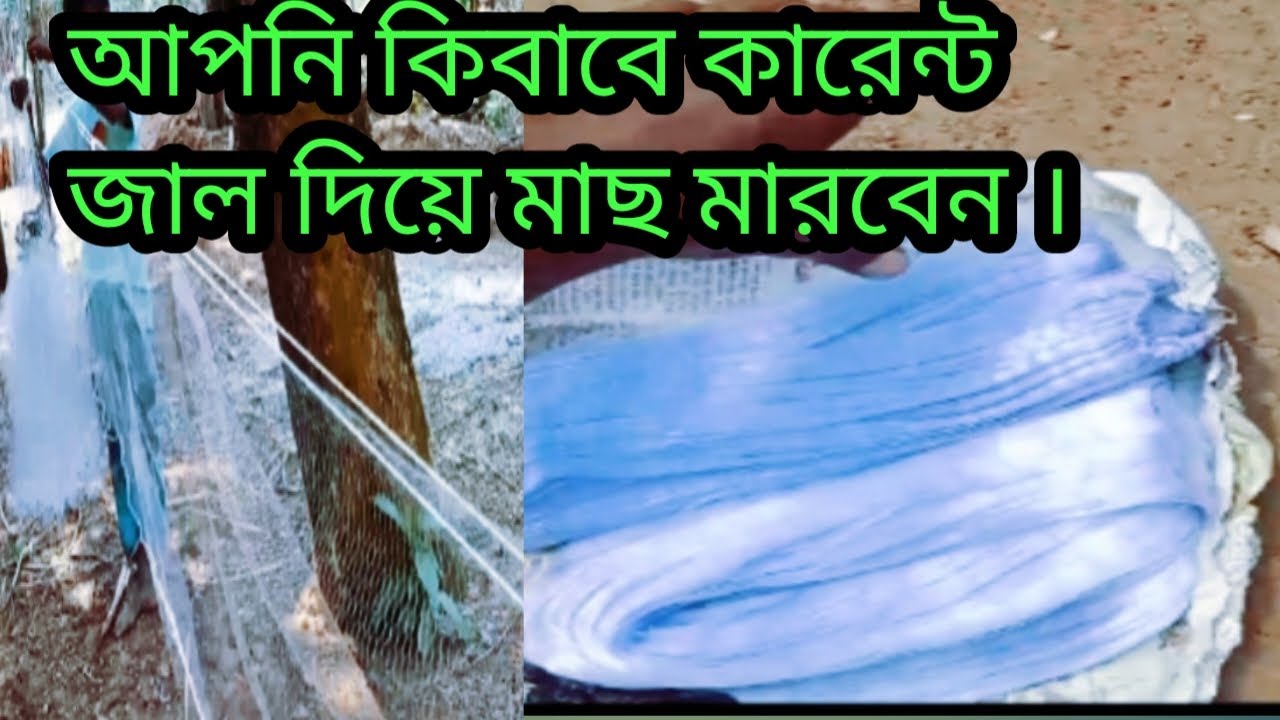 কারেন্ট জাল দিয়ে কিবাবে ছোট ছোট পুঁটি মাছ দরতে হয় আমাদের সম্পুর্ন ভিডিওটি দেখুন  ।
