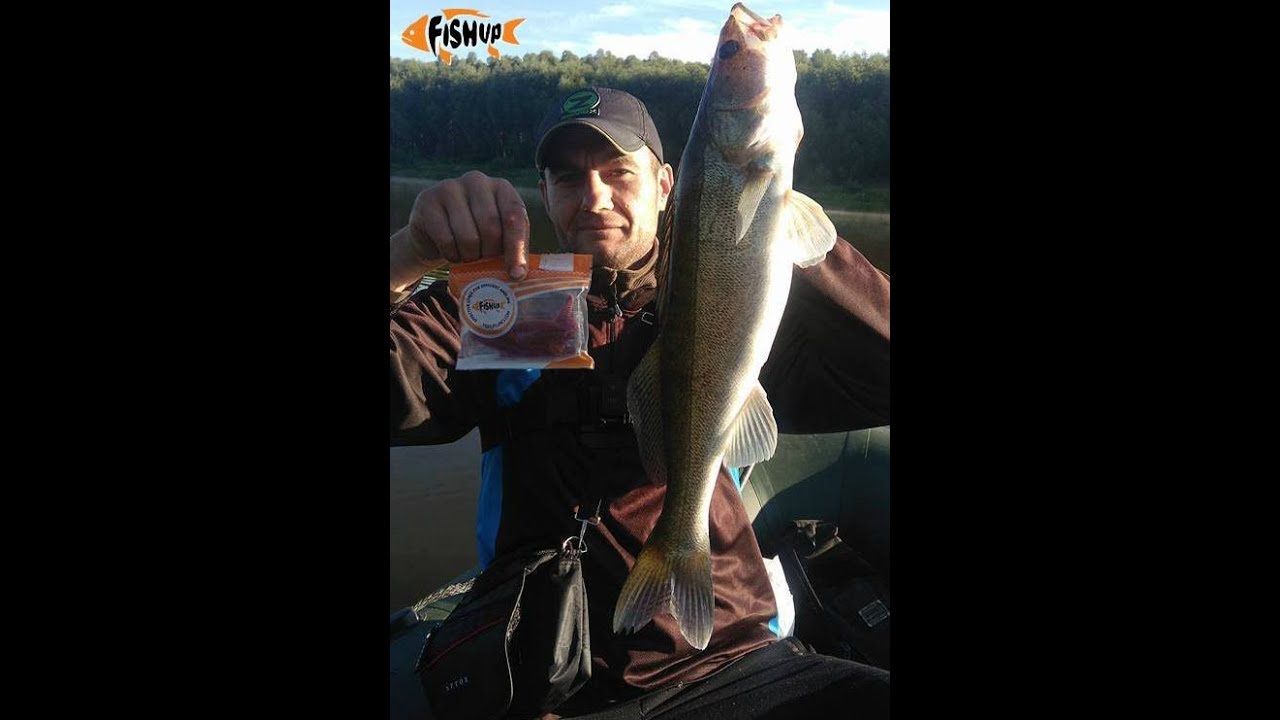 Силикон Fish Up !!!  Лучший !? или это просто миф ? Мое мнение после сезона !!!