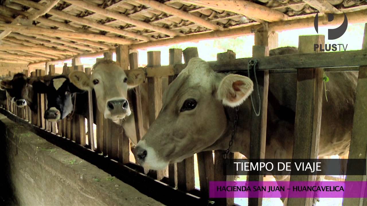 Tiempo de viaje - Hacienda San Juan, Huancavelica