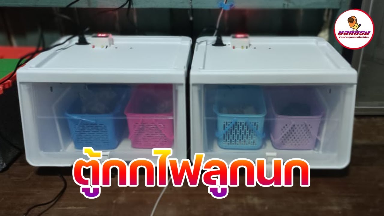 ตู้กกไฟลูกนก ตู้ควบคุมอุณหภูมิ ตู้กกไฟอัตโนมัติ