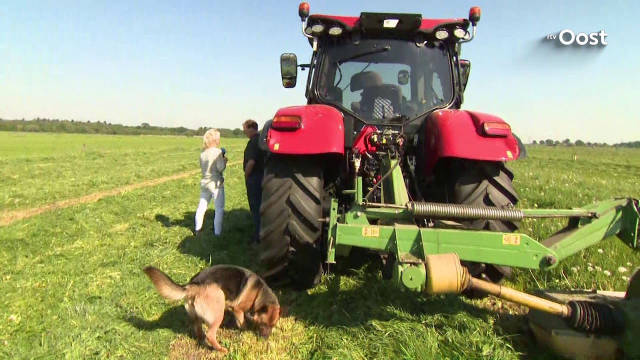 Expeditie Oost: Bij boer Gerrit uit Ommen op de tractor | RTV Oost