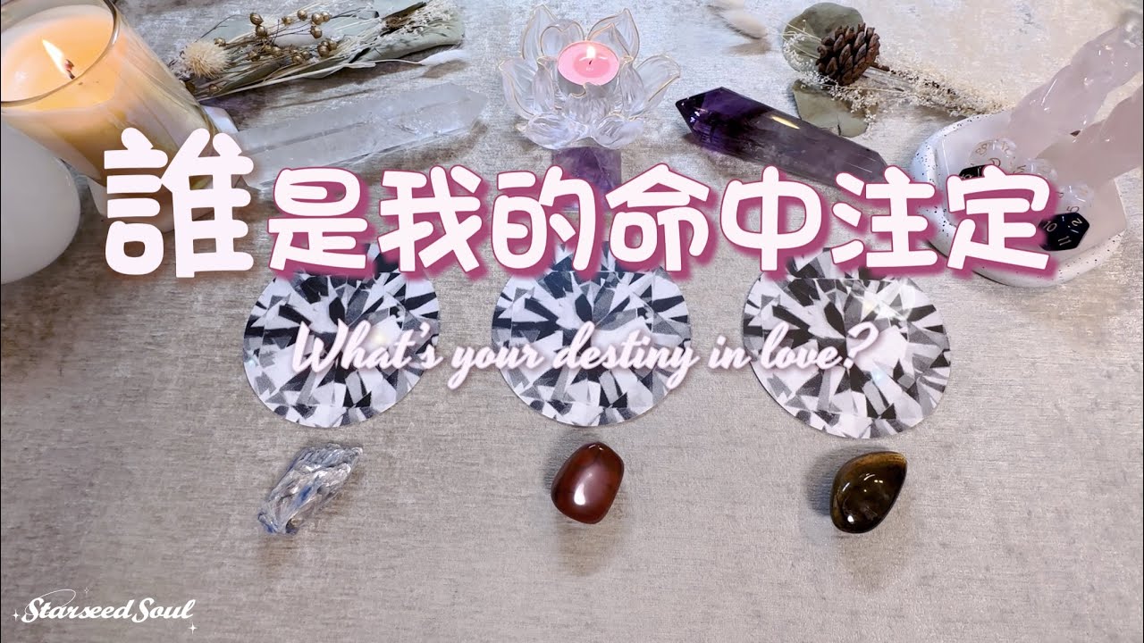 🤍塔羅占卜| 連結祖先指導靈：誰是我的命中注定？已出現否？|今生宿命的情感課題和經歷發展| 宇宙和指導靈的祝福與指引(Timeless)